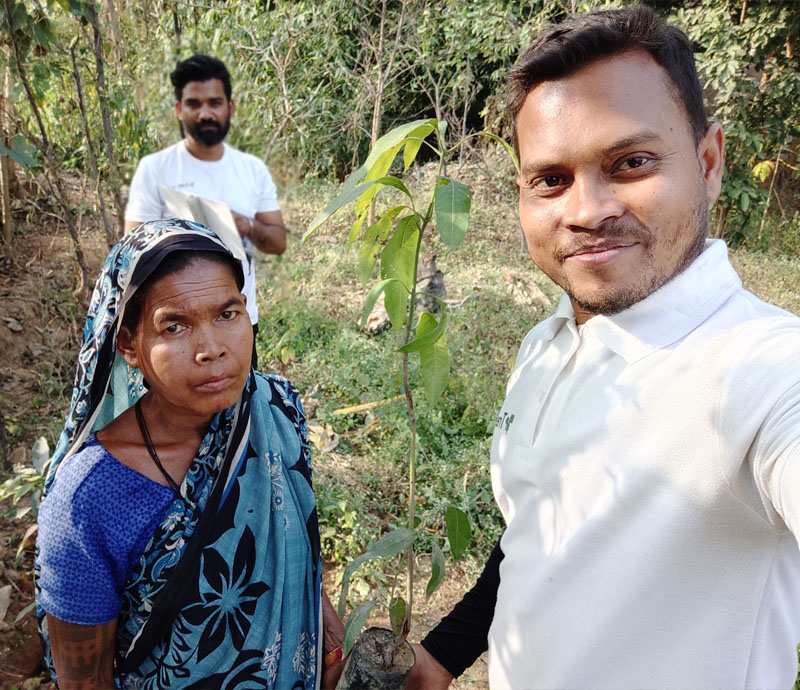 Treewards Tree Plantation